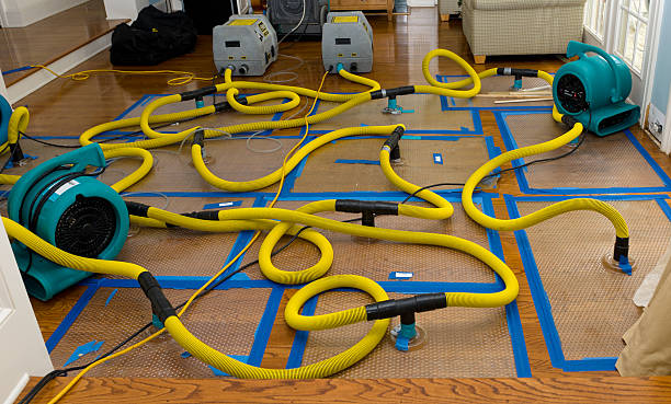 Professional Water Damage Restoration technician working in Clinton, SC